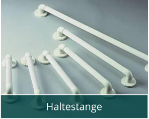 Haltestange