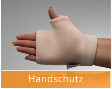 Handschutz