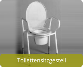 Toilettensitzgestell