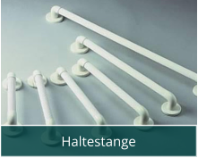 Haltestange