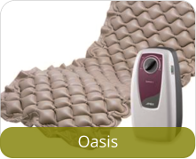 Oasis